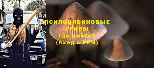 первитин Арсеньев