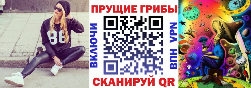 цены наркотик Сурск Псилоцибиновые грибы Cubensis